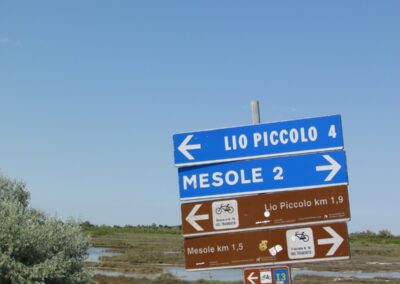 lio-piccolo-mesole