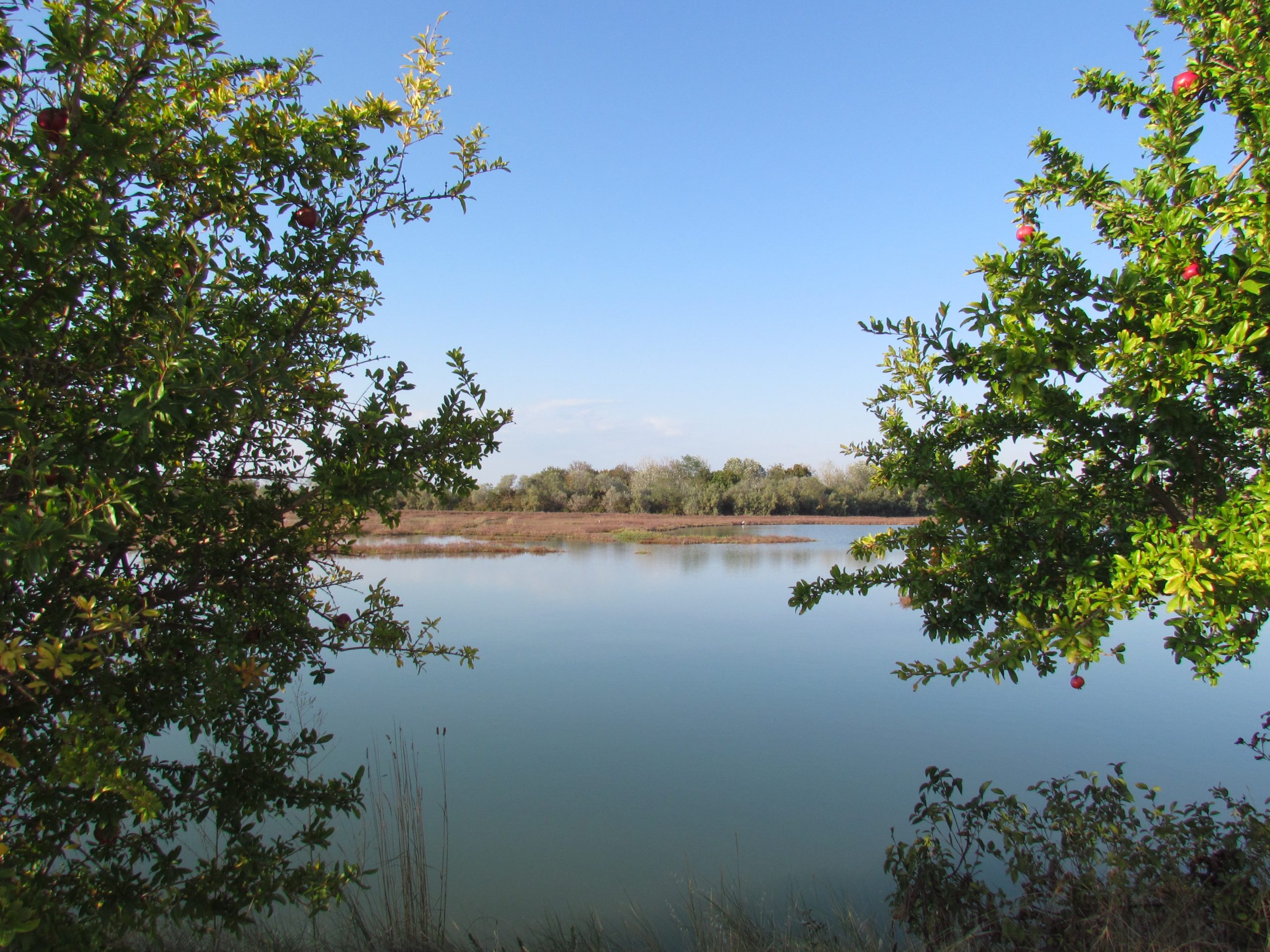 lio-piccolo-laguna-natura